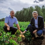 "Передовики в Челябинской области по выращиванию кукурузы и картофеля..."